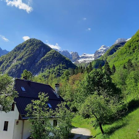 Apartment Pretner, Lepena Soča Dış mekan fotoğraf
