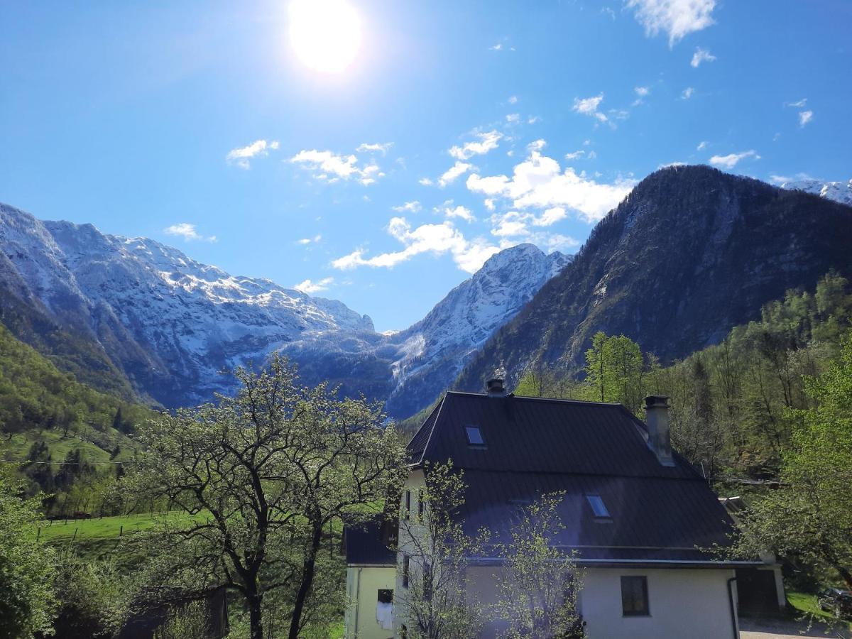 Apartment Pretner, Lepena Soča Dış mekan fotoğraf