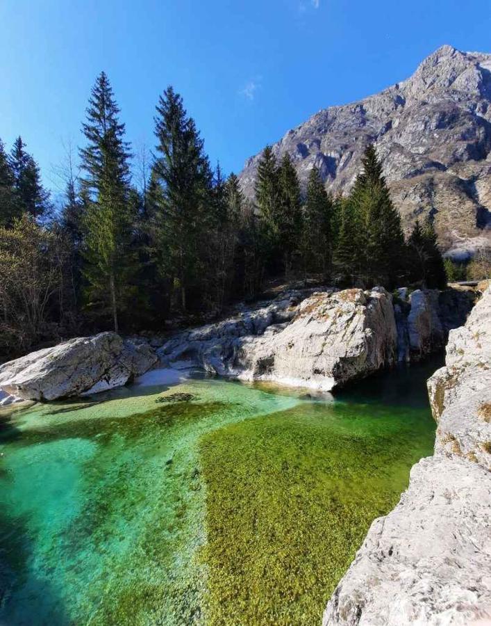Apartment Pretner, Lepena Soča Dış mekan fotoğraf
