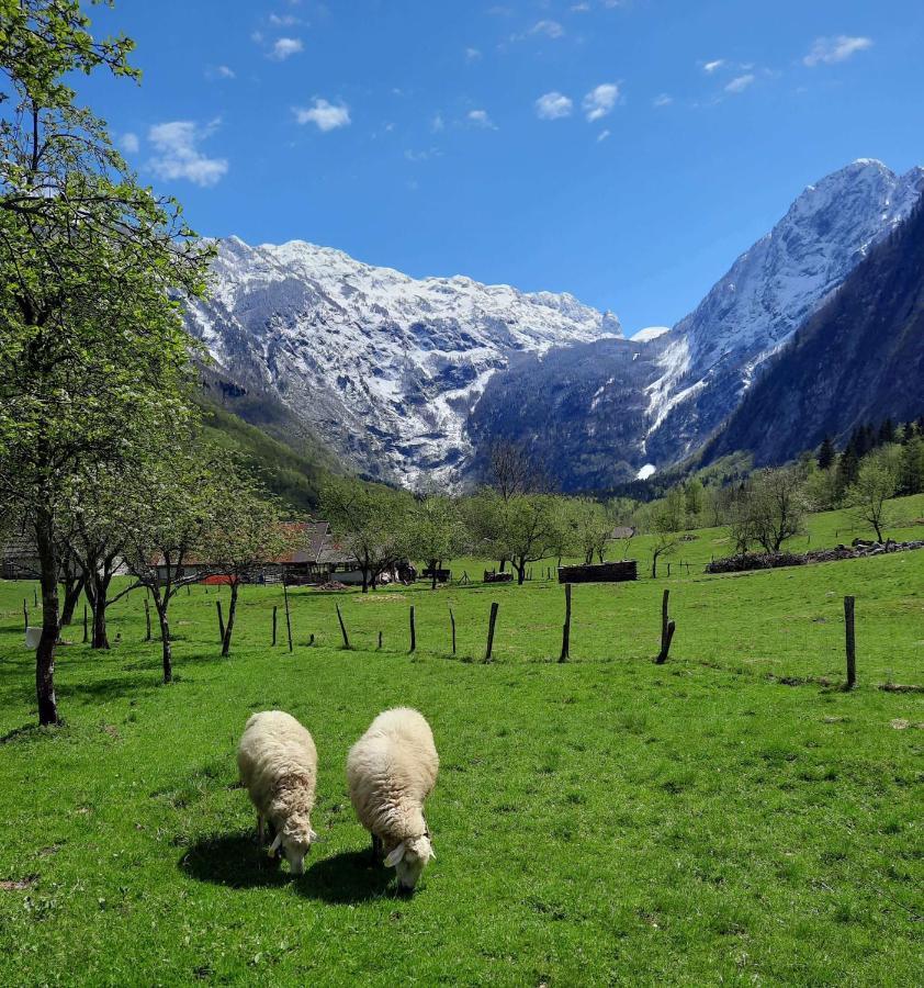 Apartment Pretner, Lepena Soča Dış mekan fotoğraf