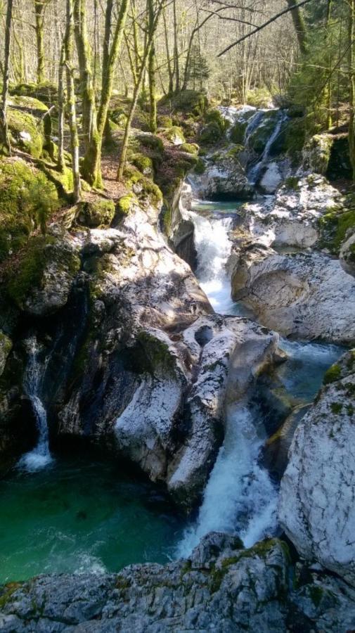 Apartment Pretner, Lepena Soča Dış mekan fotoğraf