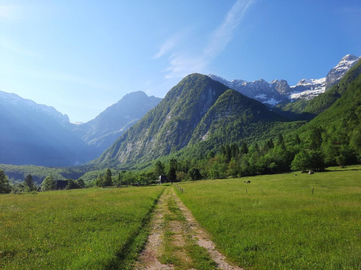 Apartment Pretner, Lepena Soča Dış mekan fotoğraf