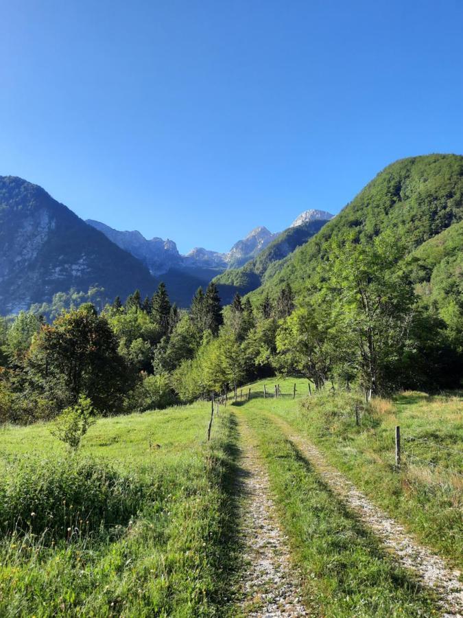 Apartment Pretner, Lepena Soča Dış mekan fotoğraf